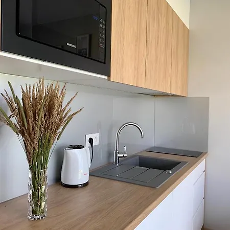 Apartment Przystan